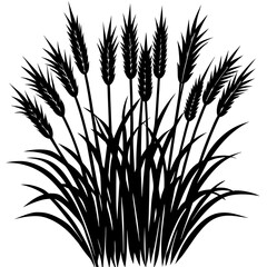 Silhouette of wheat stalks and grass blades on a white background grain cereal