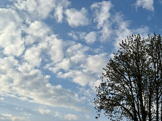Clouds sky cloudscape weather cloudy heaven Cloud summer sunlight horizon day white atmosphere beauty light freedom environment dawn Himmel Sonnenuntergang Wolken Sonne Sommer bew&ouml;lkt Gewitter
