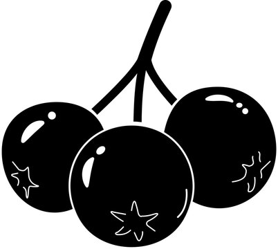 Vector Illustration of Black Cherry &ndash; Wild Cherry, Prunus Serotina, Sweet Cherry Silhouette Clipart &ndash; Minimal Fruit Symbol for UI and Design