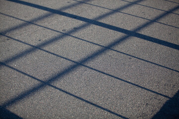 shadows on the asphalt