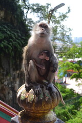 mother and her baby posing at the Batu Caves in Malaysia