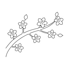 Obraz premium Delicate cherry blossom branch with blooming flowers
