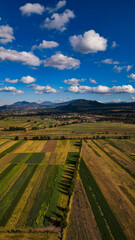 paisaje de tocuaro, Michoac&aacute;n