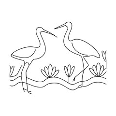 Elegant cranes wading through water plants heron wading bird