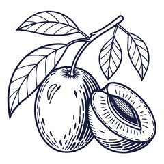 june plum with leaves