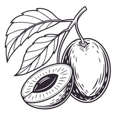 black and white june plum