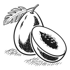 black and white jocote