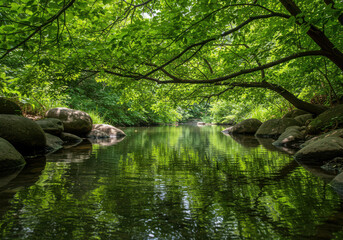 A gentle stream flows through a lush green forest with sunlight reflecting on the waters surface