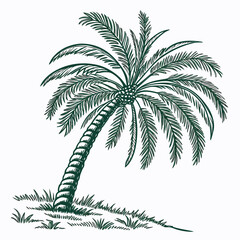 Fototapeta premium jelly palm tree vector illustration
