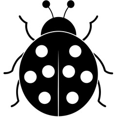 Obraz premium ladybug on white background
