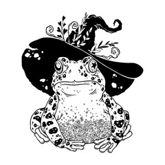 magical frog in a witch's hat