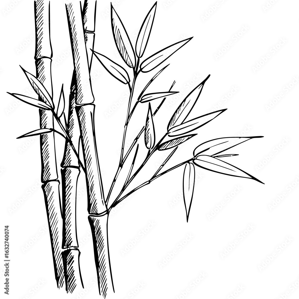 Aufkleber bamboo stems with leaves in an ink drawing style create delicate natural scene. bamboo in drawing st