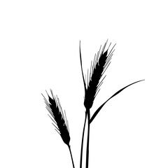 Wheat stalks silhouette against white, elegant grain crop representing harvest and agriculture. Wheat stalks silhouette highlighting nature's bounty and rural simplicity.