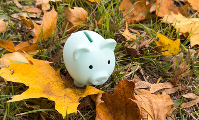Pink piggy Bank in autumn leaves on the ground. Autumn background