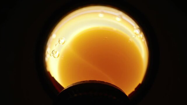 Candling an Egg: Embryo Development Insight