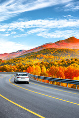 car drive on beautiful road landscape surrounded by colorful trees in autumn season. Autumn...