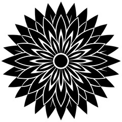 black and white abstract flower