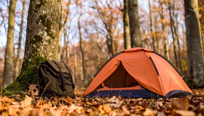camping in the forest