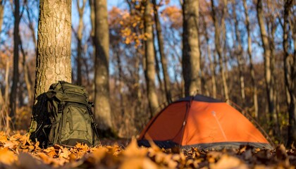 camping in the forest