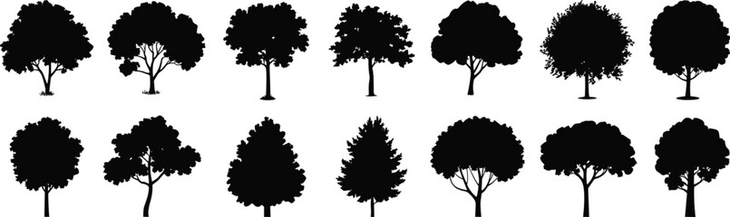 Tree silhouette vector set, fifteen distinct shapes, black outline illustration, botanical structure variation, nature design element, educational foliage reference