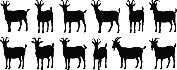 Goat silhouette vector set, posture variation, horn and tail detail, multi-angle livestock illustration, black animal graphic, farm design element