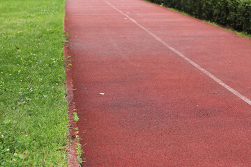 Red running track with white line. Running track in the park with selective focus. Running track surface close-up. Marked white line on the sports field. Background