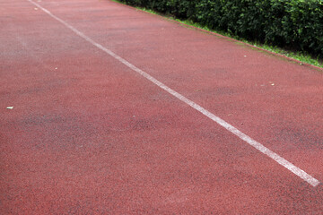 Red running track with white line. Running track in the park with selective focus. Running track surface close-up. Marked white line on the sports field. Background