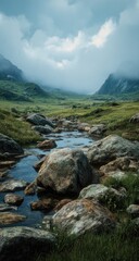 Mountain stream flowing through a grassy valley under a cloudy sky