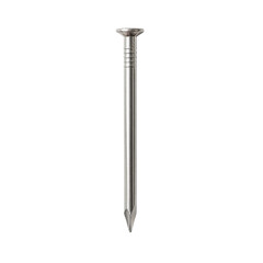 Single metal nail on a white background
