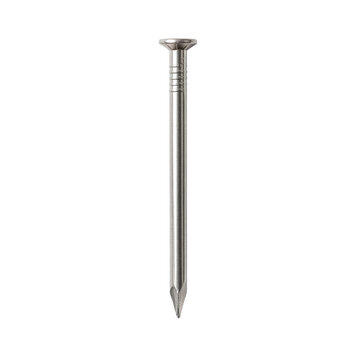 Single metal nail on a white background
