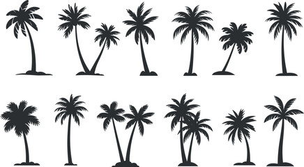 Palm Tree Silhouette Collection, Tropical Nature Vector Set, Black and White Clipart, Isolated Elements for Design, Adobe Stock Graphic Resource