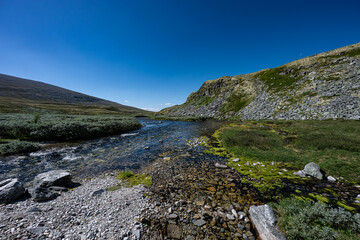 Fototapeta premium Summer in Norway, clear stream in the highlands, view from the shallows, Rondane, Norwegian summer