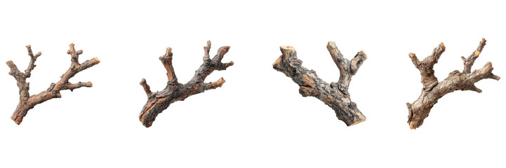 Fototapeta premium Tree Branches Set. Natural Elements For Design And Craft Projects Collection Isolated On Transparent Background