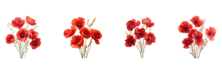 Red Poppy Flower Bouquets Set. Floral Arrangement And Decoration Collection Isolated On Transparent Background