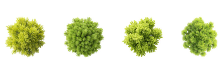Fototapeta premium Top View Of Lush Green Trees Set. Nature And Landscaping Design Collection Isolated On Transparent Background