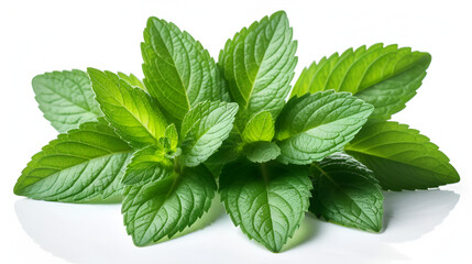Vibrant spearmint leaves displayed on a clean white backdrop , fresh, spearmint, leaves, green, sharp, edges, vivid