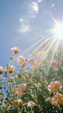 Low-angle shot of sunlit flowers with sparkling effects, creating a dreamy, ethereal atmosphere, ideal for a nature-themed video backdrop. Live mobile wallpaper.
