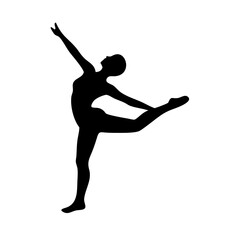 Ballet: The Art of Dance and Graceful Movement