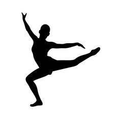 Ballet: The Art of Dance and Graceful Movement