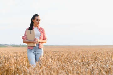 Female farmer inspecting crops in wheat field at sunset