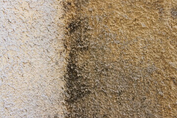 texture of stone