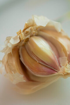 fresh garlic on a white background