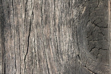 old wood texture