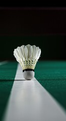 Badminton shuttlecock on court