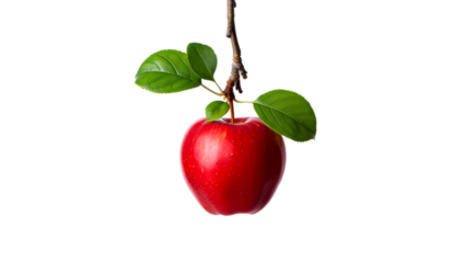 A single ripe red apple with green leaves hangs from a thin branch against a stark black background