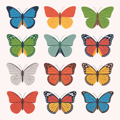 Collection of twelve colorful and diverse butterfly illustrations on a light background