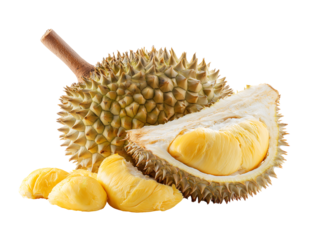 Close-up of Durian Fruit Whole and Peeled Segments on Black Background