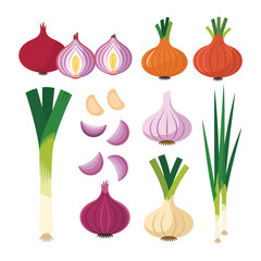 Collection of fresh alliums including onions garlic and leeks