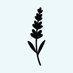 Silhouette lavender flower minimalist botanical illustration vector illustrator © Nasima