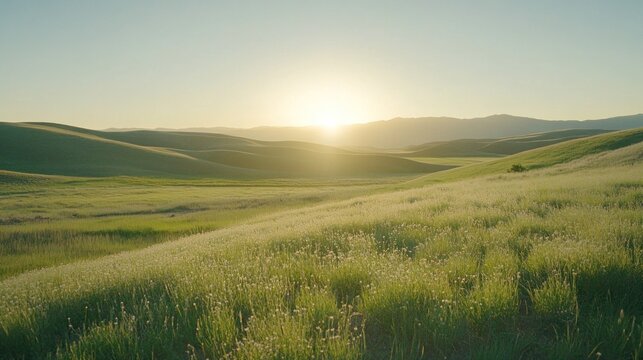 Lush green fields rolling hills at sunrise.